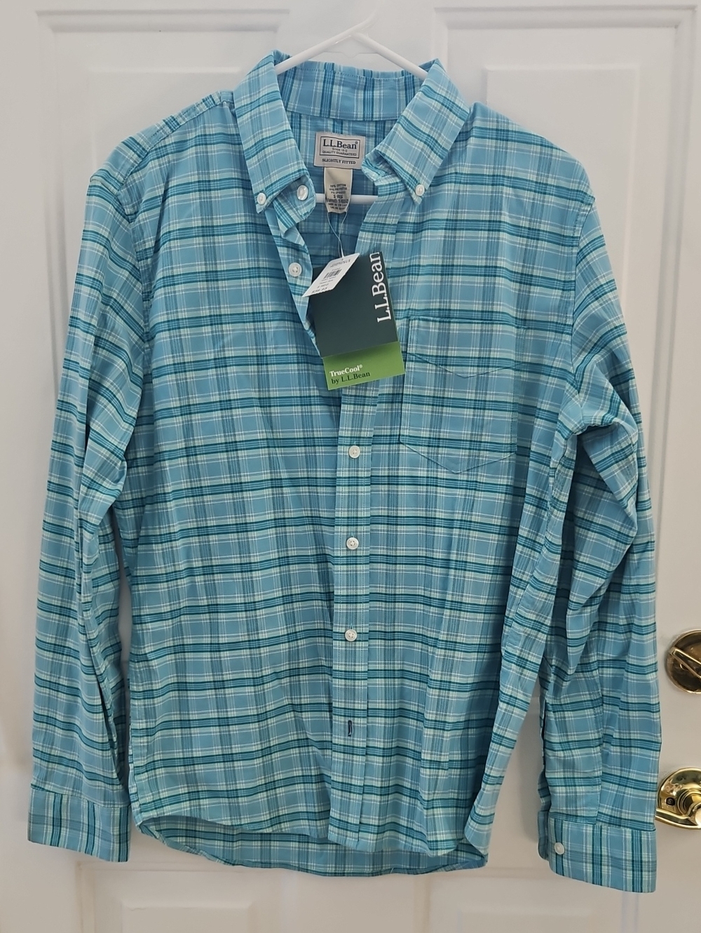 L.L. Bean Men's Teal and Light Blue Plaid Button-Down Shirt